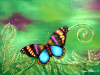 butterfly-fern-4png